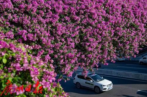 1676895153159393.jpg 微信圖片_20221023222701.jpg