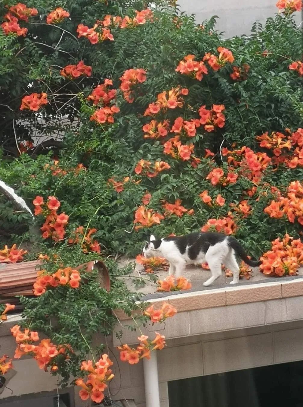 1676895927379789.jpg 微信圖片_20230116072103.jpg