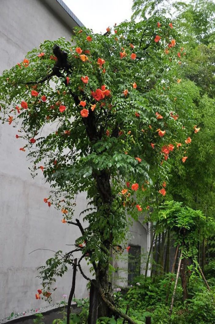 1676895950254918.jpg 微信圖片_20230204105929.jpg