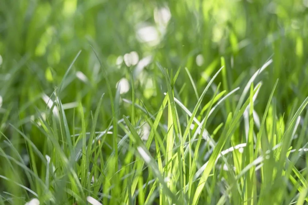 1676896608847753.jpg 微信圖片_20221023223724.jpg