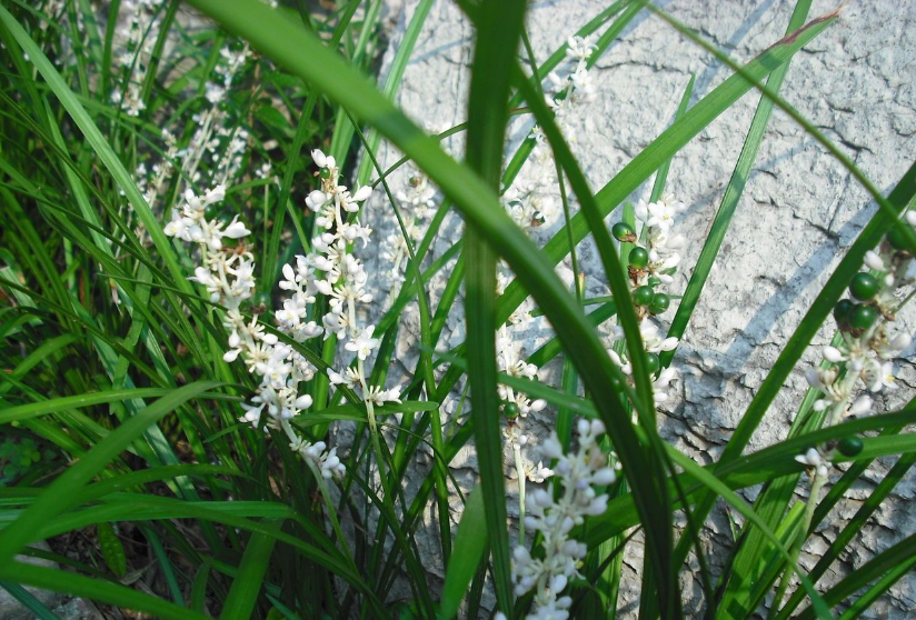 1676896615985483.png 微信圖片_20221105175437.png