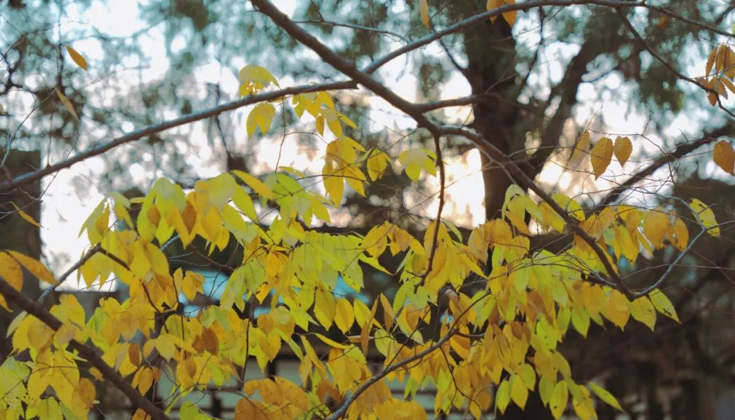 1676896964648603.jpg 微信圖片_20230115185213.jpg