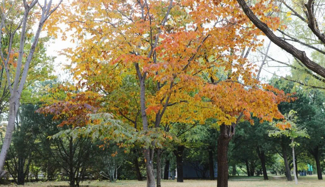 1676896971810507.jpg 微信圖片_20230115185225.jpg