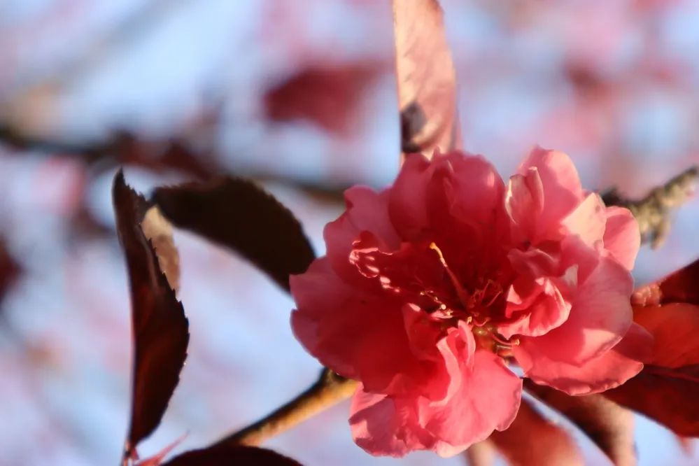 1676897321868756.jpg 微信圖片_20230220204721.jpg