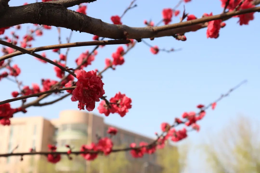 1676897327728849.jpg 微信圖片_20230220204735.jpg