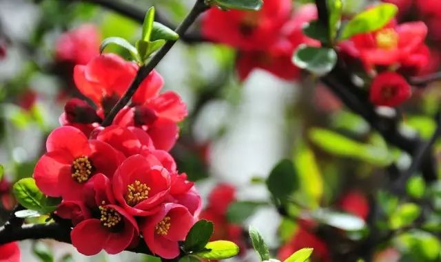 1676897429618368.jpg 微信圖片_20230220204911.jpg