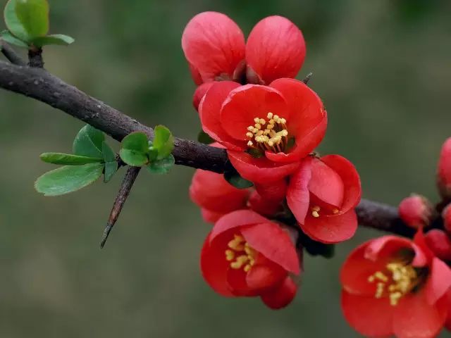 1676897435438095.jpg 微信圖片_20230220204924.jpg