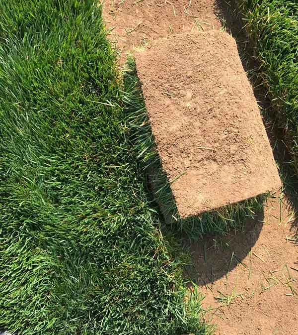 1712371433703142.jpg 1-1F4301K622309.jpg