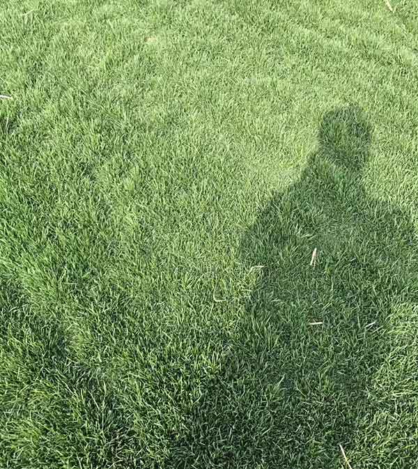 1712371441789065.jpg 1-1F4301K624923.jpg