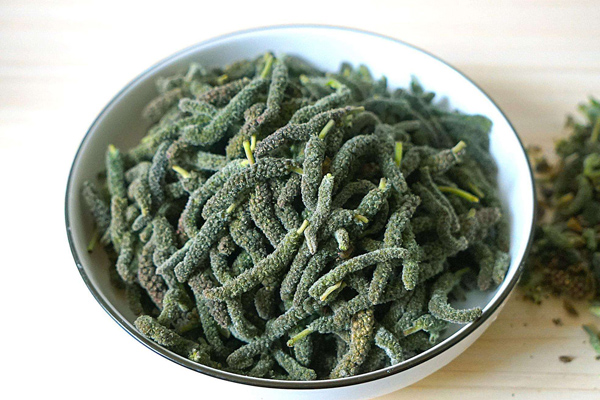 構(gòu)樹(shù)花